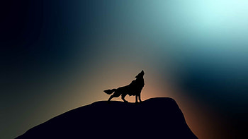 Wolf , Stunning visuals, Powerful presence, Untamed spirit HD wallpaper