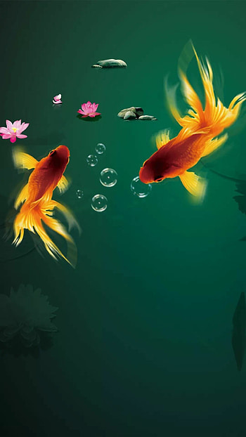 Fish , Nautical beauty, High-resolution backgrounds, Oceanic inspiration HD phone wallpaper