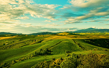 Tuscany, green hills, meadows, beautiful nature, Italy, summer, sunset, Europe HD wallpaper