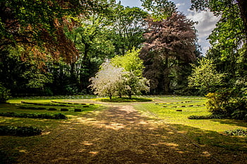 Beautiful garden with lush greenery and blooming trees under a sunny sky. HD wallpaper