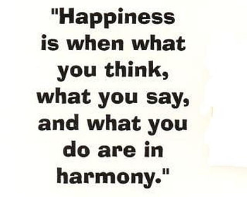 HAPPINESS, words, message, abstract, letters, document HD wallpaper