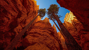 Bryce Canyon National Park, collection, Natural beauty, Scenic landscapes HD wallpaper