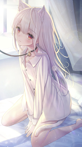 Radiant White-Haired Cat Girl Anime with Mesmerizing Red Eyes, red eyes, long hair, white hair, animal ears, cat girl, Anime, Original HD phone wallpaper