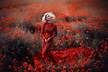 ღ, Flowers, Summer, Meadow, Blonde HD wallpaper