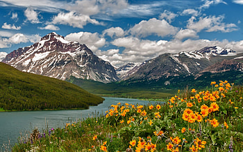 River, nature, Flower, mountain HD wallpaper