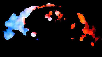 MY WORLD THRU A LEAF, shadows, leaves, cutouts, surreal HD wallpaper