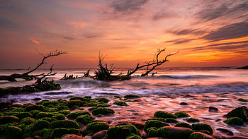 Sunset Sea, sky, Nature, Sunset, Sea HD wallpaper