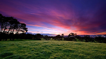 Scenic Background HD wallpaper