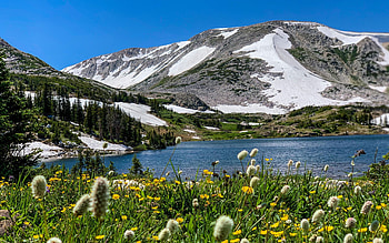 Snowy Range ~ Wyoming, flowers, mountains, lake, trees, sky, usa HD wallpaper