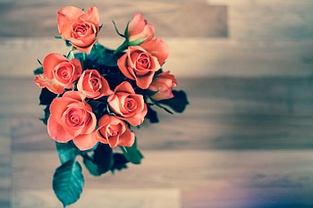 Bouqet Of Roses, flowers, roses, bouqet HD wallpaper