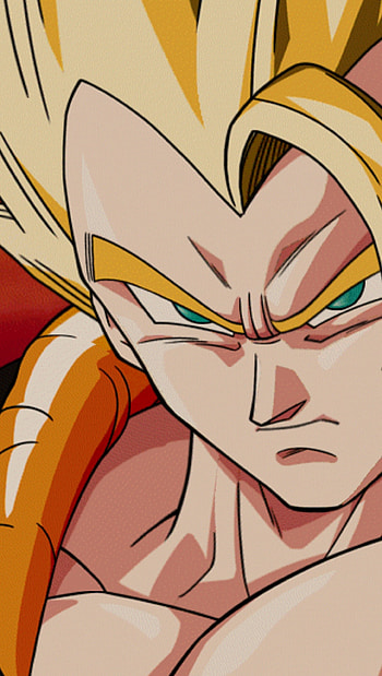 This is Gogeta, Metamor, Anime, Goku, Dragonball, Vegeta, DragonBallZ, DBZ, Fusion HD phone wallpaper