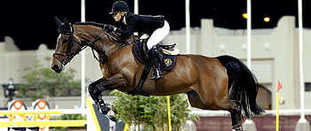 High jumps, Equestrian elegance, Powerful horses, Graceful athletes HD wallpaper