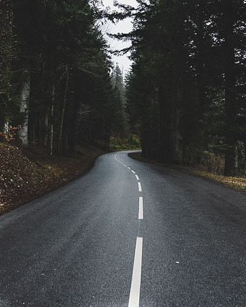 Nature, Trees, Road, Turn, Forest HD phone wallpaper