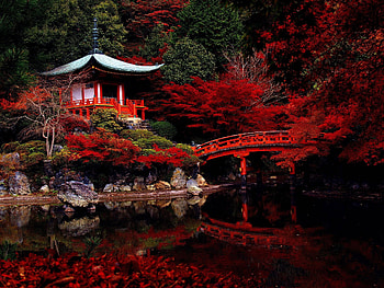 Japan garden HD wallpaper