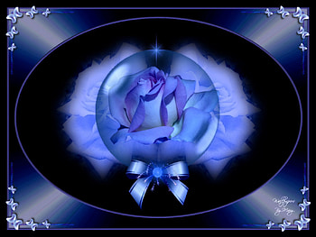Blue Roses 1600x1200, Roses, Globes, Bows, Flowers, Blue, Rose HD wallpaper
