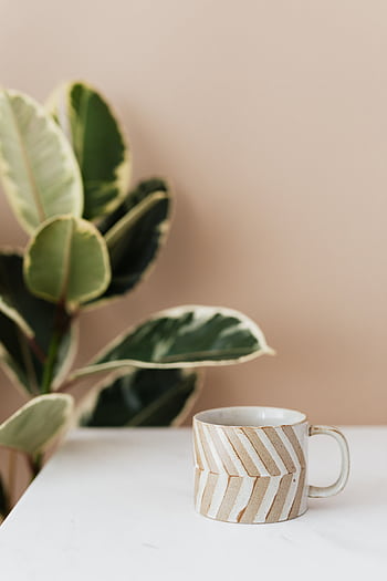 A stylish ceramic mug in a minimalist setting beside a green indoor plant. HD phone wallpaper