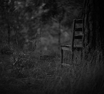 Grass, Forest, Chair, Minimalism, Bw, Chb, Gloomy HD wallpaper