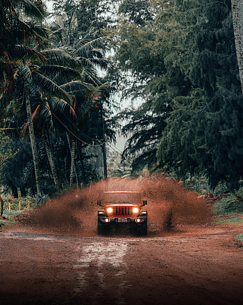 Cars, Car, Suv, Jeep, Tropics, Jeep Wrangler HD phone wallpaper
