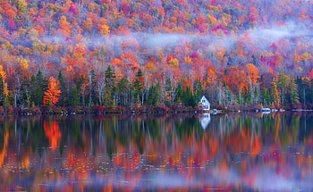 Autumn, House, Reflection, Forest, Shore, Pond HD wallpaper