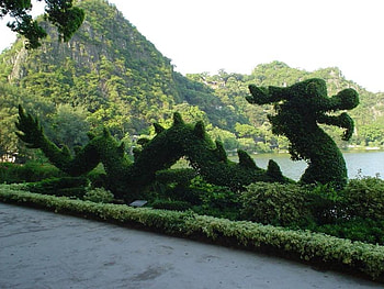 Topiary Dragon, topiary, gardens, dragons, plants HD wallpaper