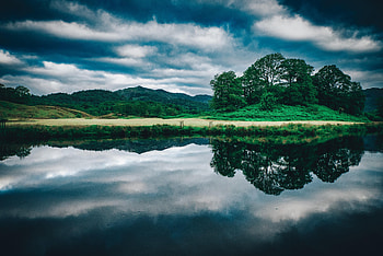 Nature, Trees, Sky, Lake, Reflection HD wallpaper