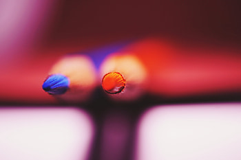 Macro, Close-Up, Colored Pencils, Spearhead, Prick, Colour Pencils, Imprisoned, Cloistered HD wallpaper