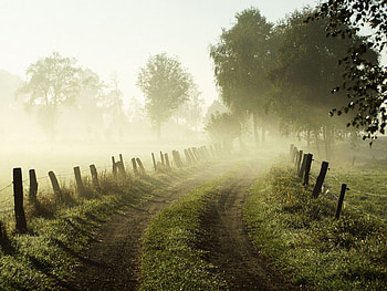 Misty Morning, of morning graphy design HD wallpaper