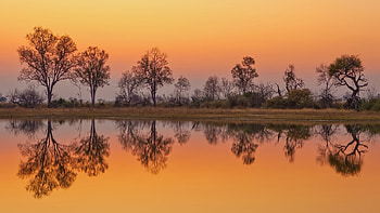 Dawn approaches Okavango Delta, Moremi Game Reserve, Windows spotlight, Botswana beauty HD wallpaper