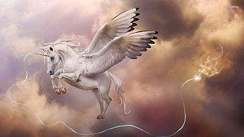 White Pegasus Unicorn, White, Fantasy, Pegasus, Unicorn HD wallpaper