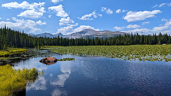 Red Rock lake, Colorado, hills, landscape, waterlilies, water, rocks, reflections, usa HD wallpaper
