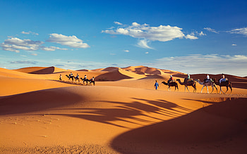 Desert, shadows, camels, caravan, clouds HD wallpaper