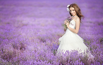 * On purple field *, nature, flowers, lavandar, flower HD wallpaper