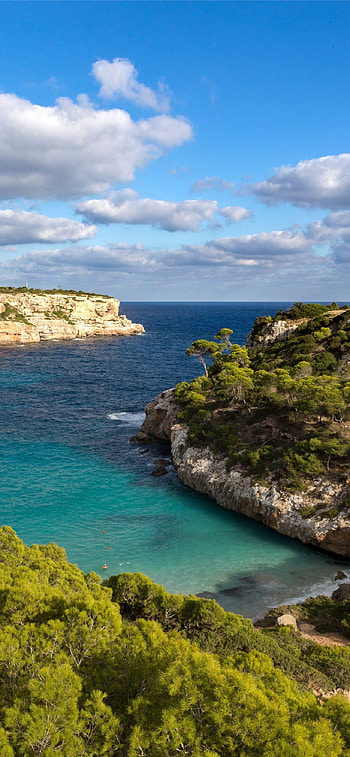Mallorca, Palma de Mallorca, , Mediterranean paradise HD phone wallpaper