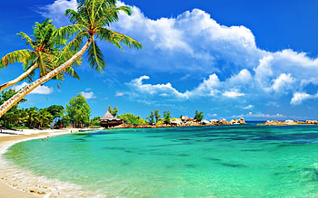 Tropical , Paradise vibes, Exotic destinations, Vacation inspiration HD wallpaper