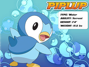 Piplup Info, anime, piplup, pokemon, info HD wallpaper