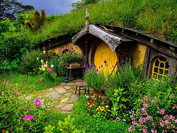 Lord of the Rings, grass, flowers, green, house HD wallpaper
