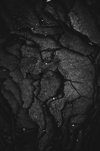 Leaves, Macro, Dark, Texture, Surface HD phone wallpaper