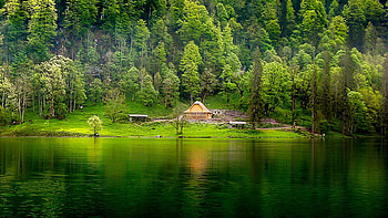 Beautiful Scenery House Green Trees Grass Field Slope Bushes Reflection On Lake Nature HD wallpaper