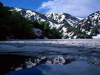 Nature, Trees, Mountains, Snow, Lake, Shore, Bank, Shadow, Foam, Spring, Slopes HD wallpaper