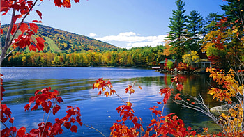 Moose Pond, autumn, leaves, mountain, pond HD wallpaper