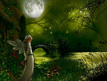 the night fairy girl, night, fairy, the, girl HD wallpaper