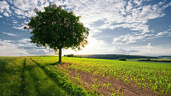 Landscape, Nature HD wallpaper