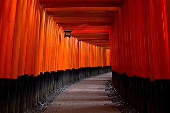 Road, wooden pillars, architecture HD wallpaper