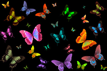 Colorful, Colors, Butterfly, Artistic HD wallpaper