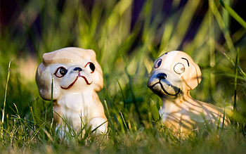 Grass, Toys, Miscellanea, Miscellaneous, Cat, Dog HD wallpaper