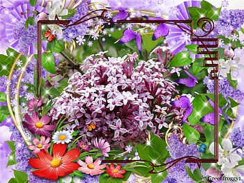 FRAMED LILACS, LILACS, FLOWERS, LOVELY, FRAMED HD wallpaper