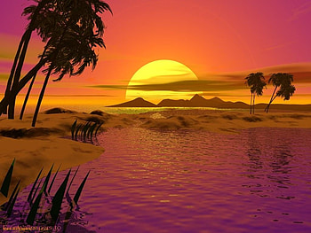 3dsunset1.jpg, plametrees, nature, lake, sunset HD wallpaper