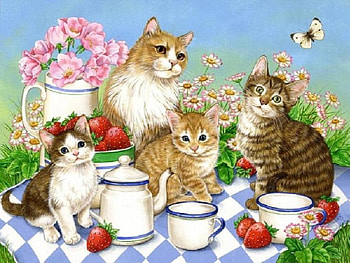 TOGATHERNESS, PARTY, TEA, CATS HD wallpaper