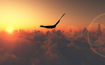 dom, birds, landscape, clouds, sky, beautiful, nature, amazing, sunset HD wallpaper