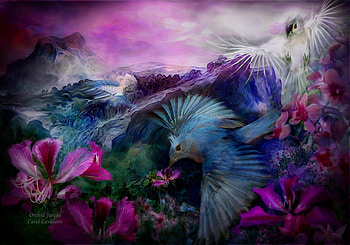 ORCHID JUNGLE, birds, carol, painting, cavalaris HD wallpaper